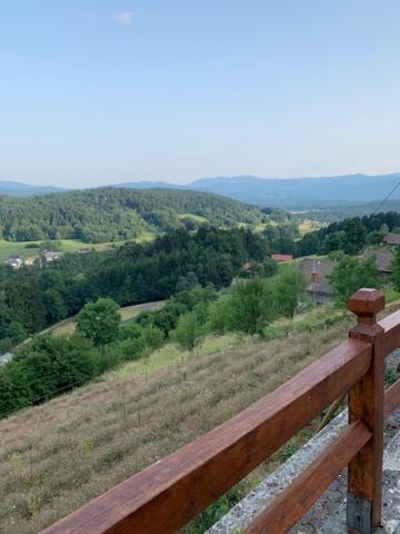 Wine House, Zidanica Gruden Villa Ново Место Екстериор снимка